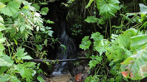Fresh Water Spring