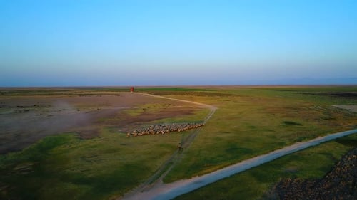 Aerial View At Pasture