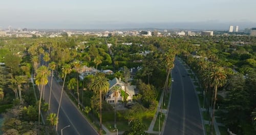 Neighborhood of Beverly Hills on Hazy Afternoon in LA, Drone Shot of Lush Green Trees and Gorgeous E