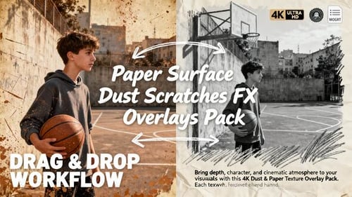 Paper Surface Dust & Scratches FX Overlays Pack MOGRT