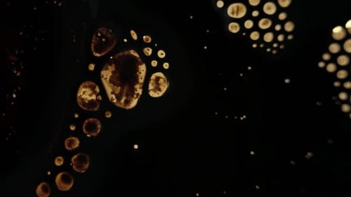 Macro view of bubbles in ferrofluid. the liquid gets manipulated by a magnet. Shiny bubbles and bubb