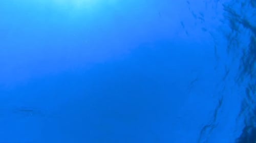 Sea Blue Underwater Waves