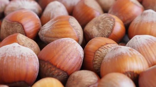 Hazelnut Abstract Background. Rotate