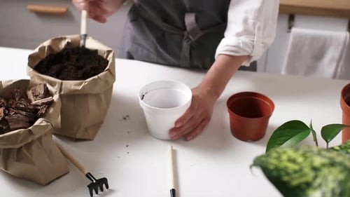Potting Soil in Planter Indoors