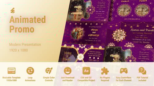 Save The Date Indian Invitation