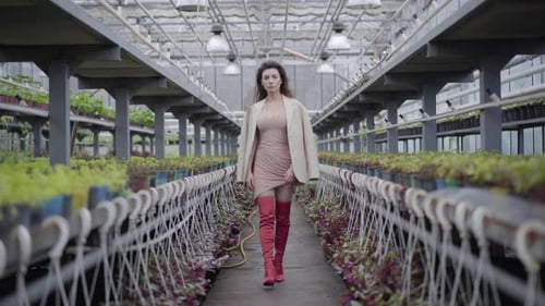 Gorgeous Caucasian Brunette Woman in Red Thigh High Boots Walking Along Row of Plants in Greenhouse