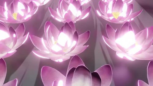 Lotus 01 4K