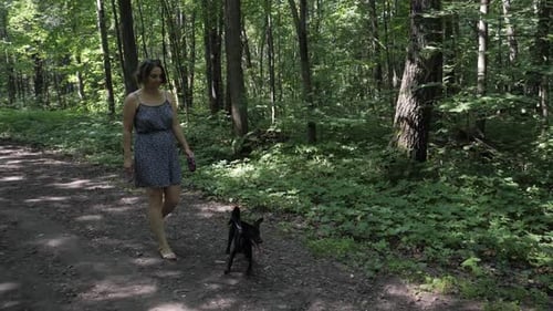 Dog Walker with Dogs Enjoying in Park. Professional Servise Training in Forest and City Streets,