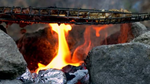 Chicken On A Barbecue