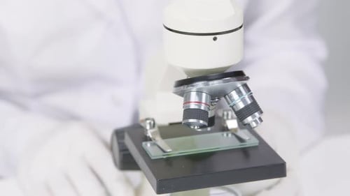 Labortechnikerin in Gummihandschuhen passt den Fokus des Mikroskops aus nächster Nähe an