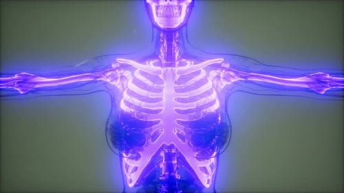 Futuristic Medical Scan of Human Body Skeleton and Organs