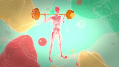 3D Animated Skeleton Performing Squats with Barbell