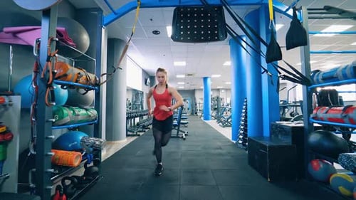 Woman exercise workout in gym. Young woman workout in gym, healthy lifestyle