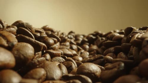 Pile of Roasted Coffee Beans Close Up