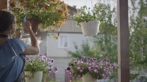 Woman Waters Colorful Flowers in Potted Plants
