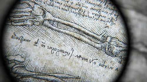 Anatomie-Kunst