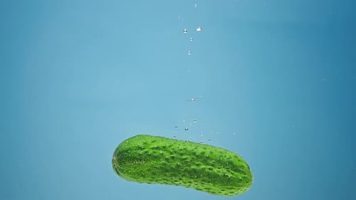 Green Cucumber Floats in Water