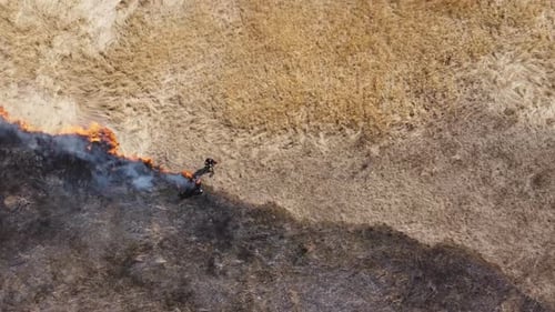 Aerial View of Firefighters with Shovels Extinguish Burning Grass at Countryside