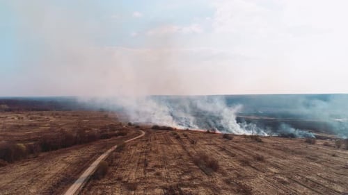Forest and Field Fire. Dry Grass Burns, Natural Disaster. Aerial View.