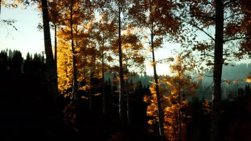 Berg-Herbst-Landschaft mit gelbem Wald