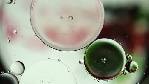 Abstract Colorful Food Oil Drops Bubbles 48