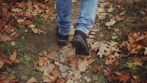 Männlicher Tourist im Wald. Junge Touristin spaziert durch den Wald in der Natur
