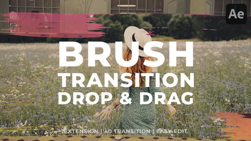 Brush Transition