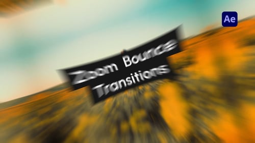 Zoom Bounce Transitions