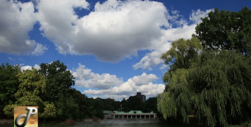 Central Park Time Lapse