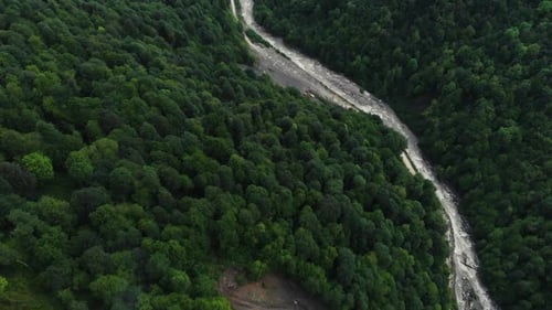 Top Down View of Fast Moving River with Rapids Surrounded By Pine Forest. Shot in Sochi. Aerial View