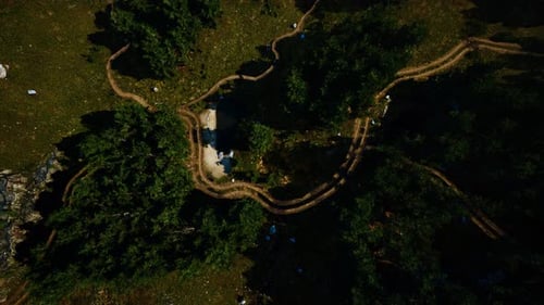 Aerial View of the Road Through the Forest