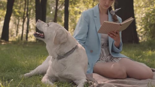 Unrecognizable Dog Owner Reading