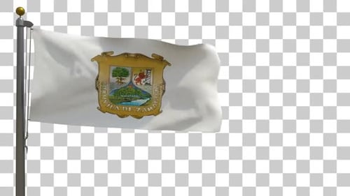 Bandera de Coahuila en asta con canal alfa
