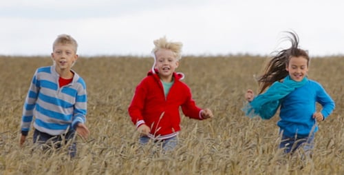 Children Run Joyfully Through a Wheat Field