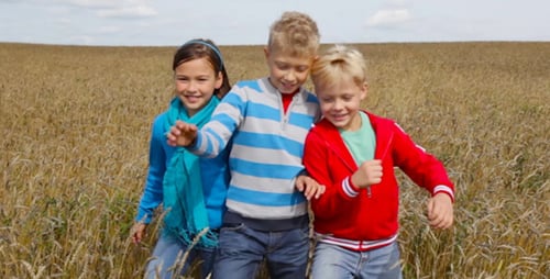 Children Walk Through Golden Wheat Field on Sunny Day