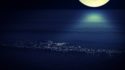 Night Surf