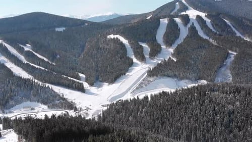 Aerial Ski Slopes with Skiers and Ski Lifts on Ski Resort. Snowy Mountain Forest