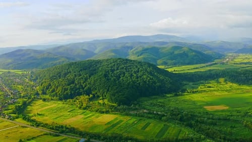 Drone Flies Above Green Fields in Carpathians