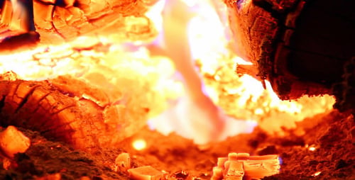 Crackling Fireplace Logs and Glowing Embers