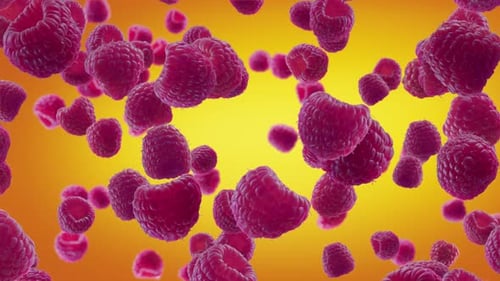 Seamless Loop of Flying Raspberries on Vibrant Yellow Gradient