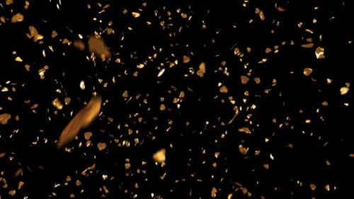 Goldfallende Konfetti-Explosion