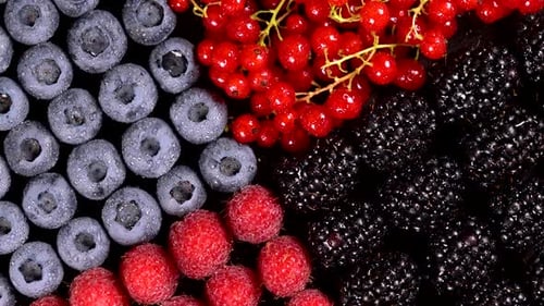 Assorted Berries Displayed in a Colorful Close-Up