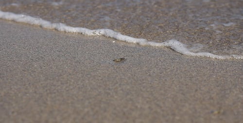 Sandy Beach 01
