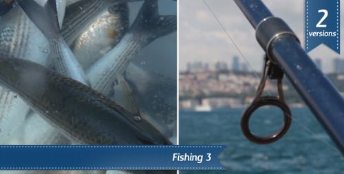 Fishing Istanbul