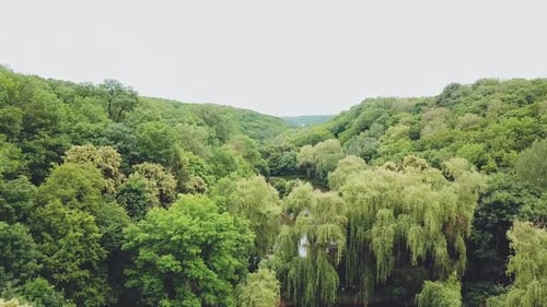 Blick auf den See mit Wald. Luftaufnahme. Malerische Landschaft. Bewegung der Kamera vorwärts