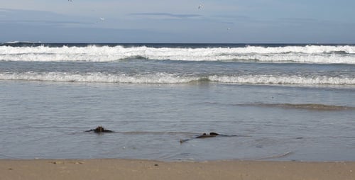 Sandy Beach 03
