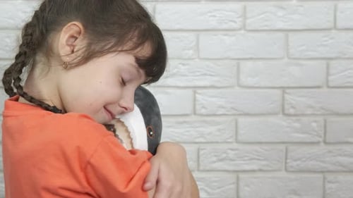 Happy Girl Hugging a Plush Shark Toy