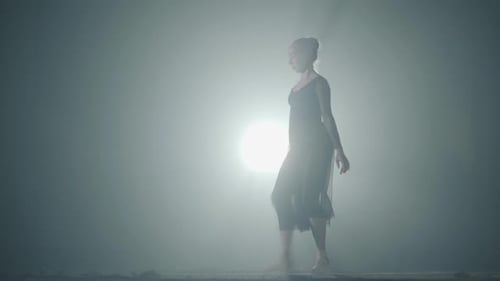 Female Ballet Dancer Performs Gracefully in Studio