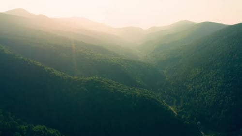 Hill Valley Mountains Tree Forest Pine Sun Sunset Nature Plant