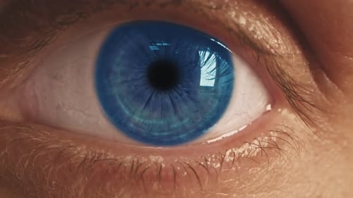Extreme Close Up of Blue Eye